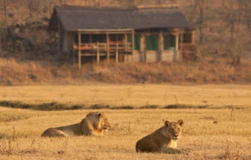 Sanctuary Makanyane Safari Lodge Защитен резерват „Мадикве“ Екстериор снимка