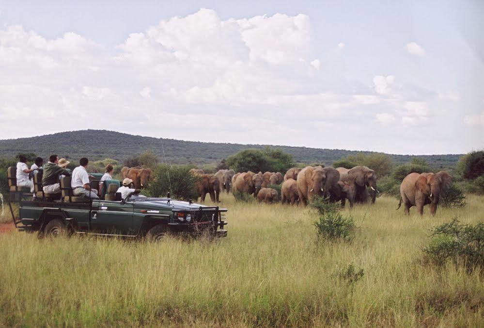 Sanctuary Makanyane Safari Lodge Защитен резерват „Мадикве“ Екстериор снимка